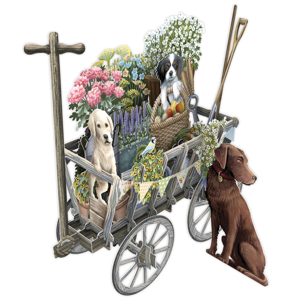 Goat cart 3D pop up greeting card - Daisy Park
