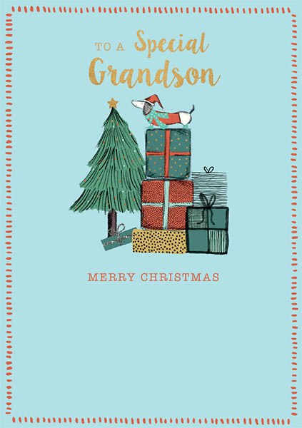 Special Grandson Christmas Card - Daisy Park