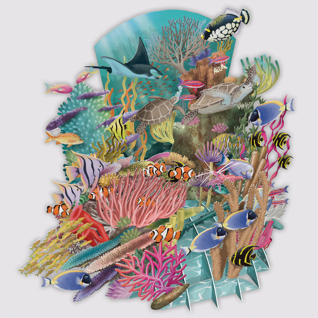 Coral reef - Top of the world 3D pop up greeting card - Daisy Park