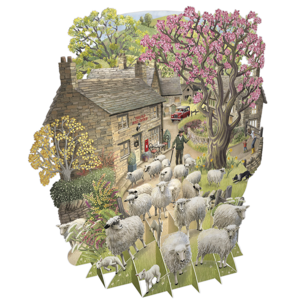 The Shepherd 3D pop up greeting card - Daisy Park