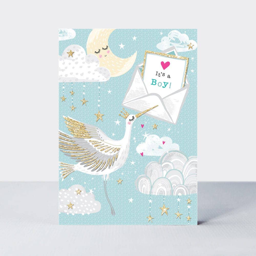 Baby Boy/Stork card - Daisy Park