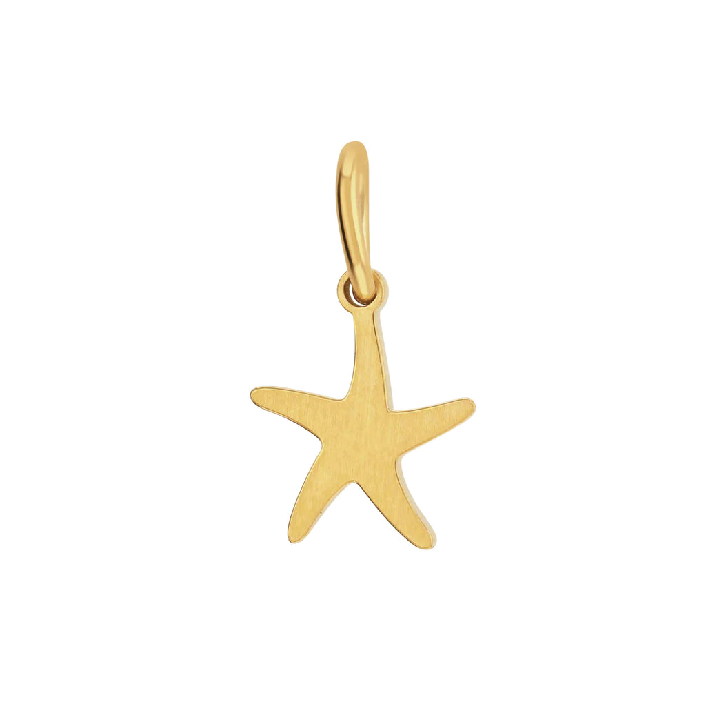 Gold starfish charm - Daisy Park