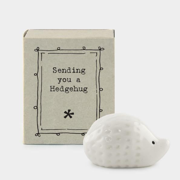 Sending you a hedgehog matchbox - Daisy Park