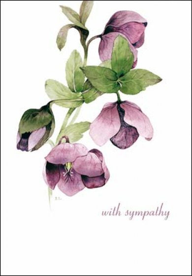 Lilac Hellebore Sympathy Card - Daisy Park