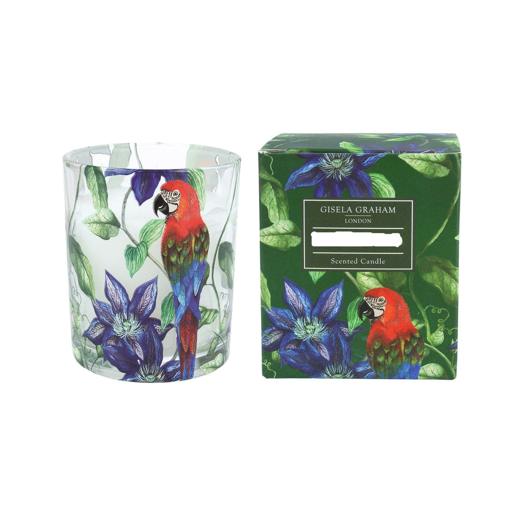 Parrot and flower large boxed glass candle - Daisy Park