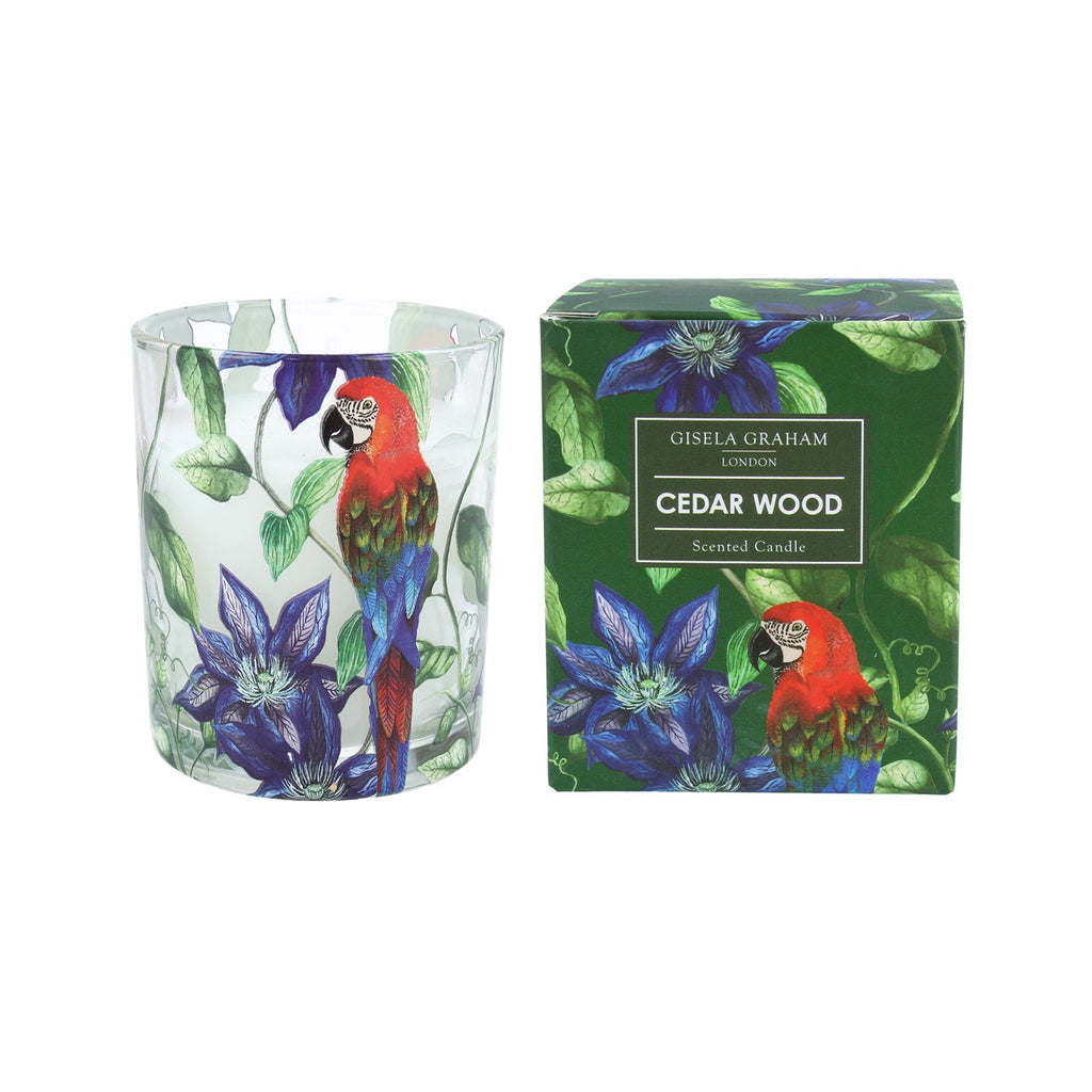 Parrot and flower small boxed glass candle - Daisy Park