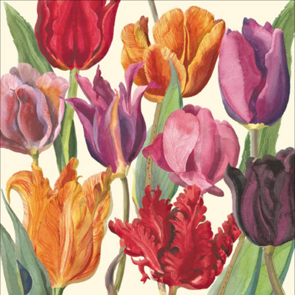 Emma Bridgewater Tulips card - Daisy Park