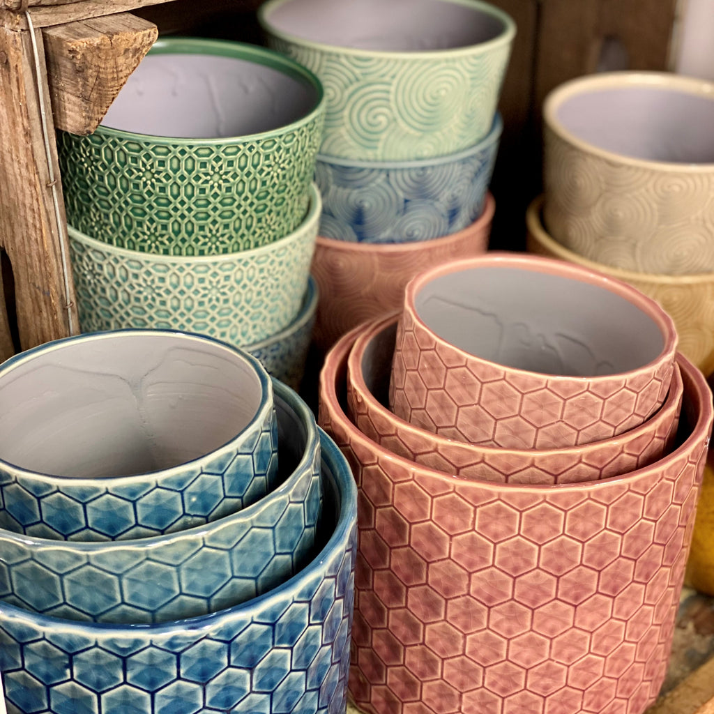 Glorious New Gisela Graham
