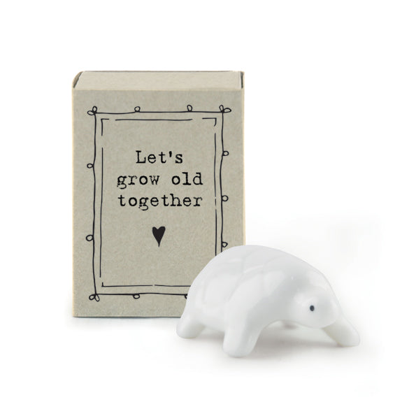 Matchbox - Lets grow old together - Tortoise - Daisy Park