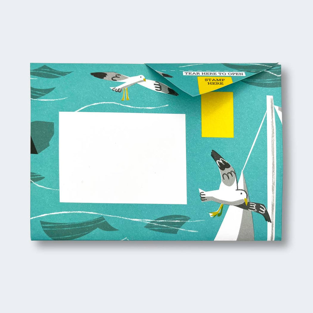 Safe Harbour Pigeon letter pack - Daisy Park