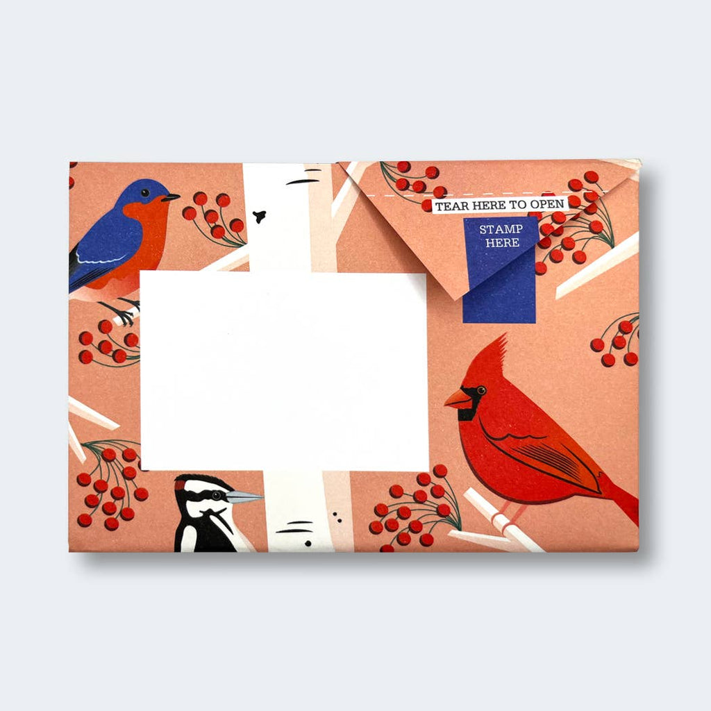 Carnival of Colour Pigeon letter pack - Daisy Park