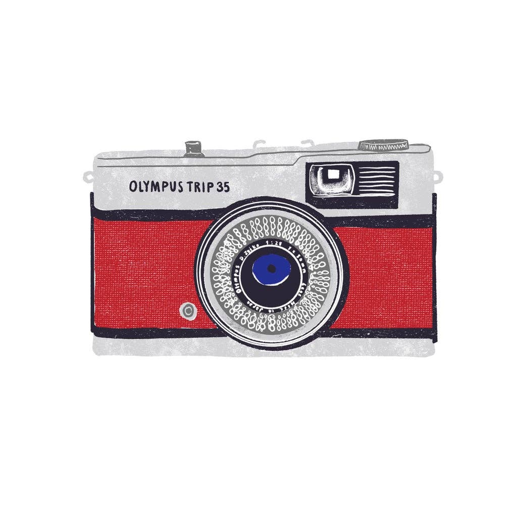 Camera - blank greetings card - Daisy Park