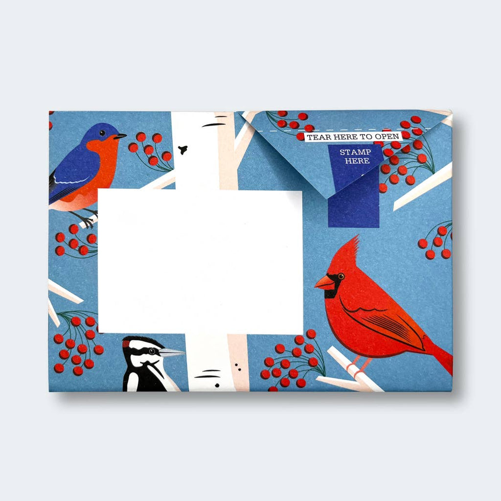 Carnival of Colour Pigeon letter pack - Daisy Park