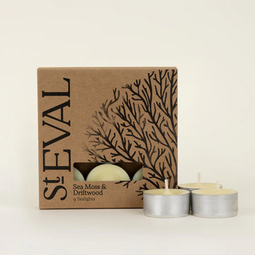 St Eval Tea lights - Sea Moss & Driftwood - Daisy Park