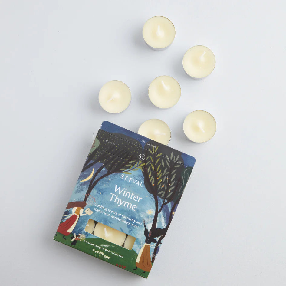 St Eval Winter Thyme Christmas scented tealights - Daisy Park