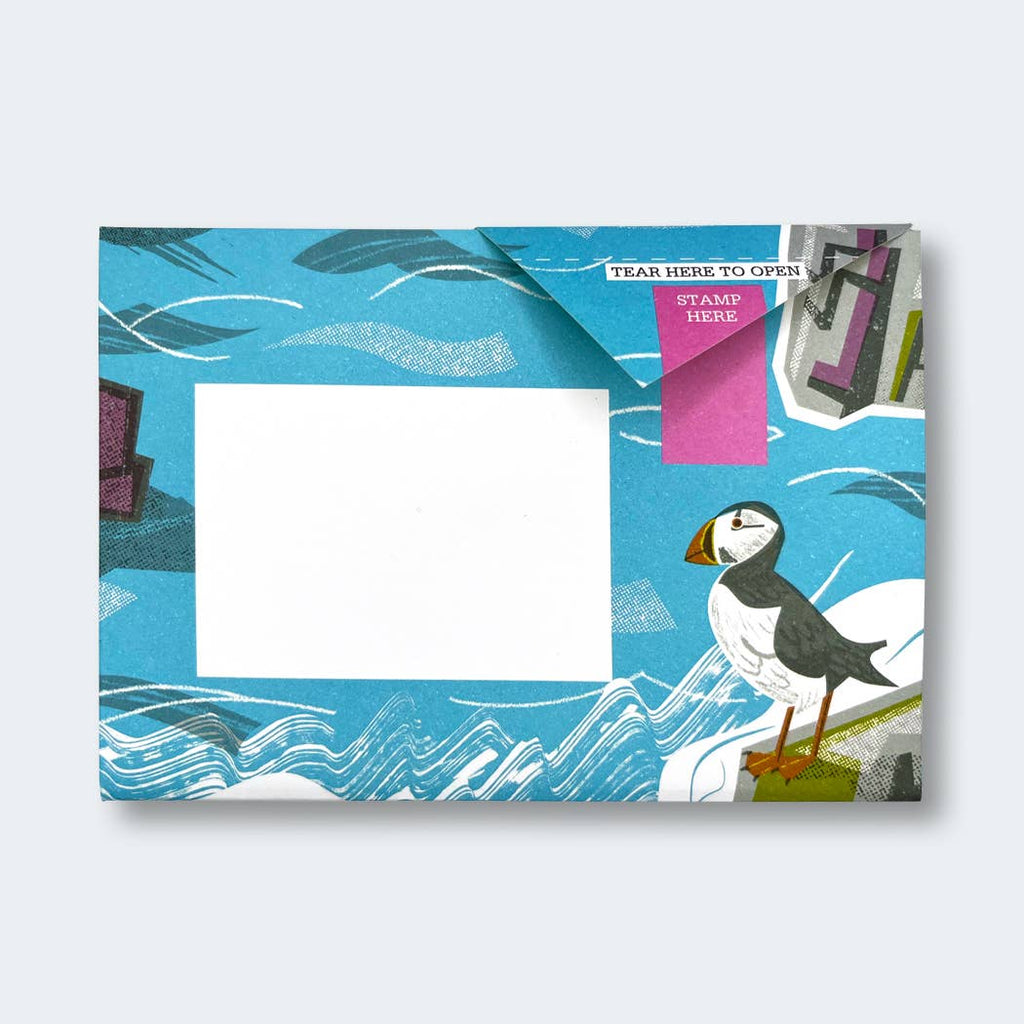 Safe Harbour Pigeon letter pack - Daisy Park