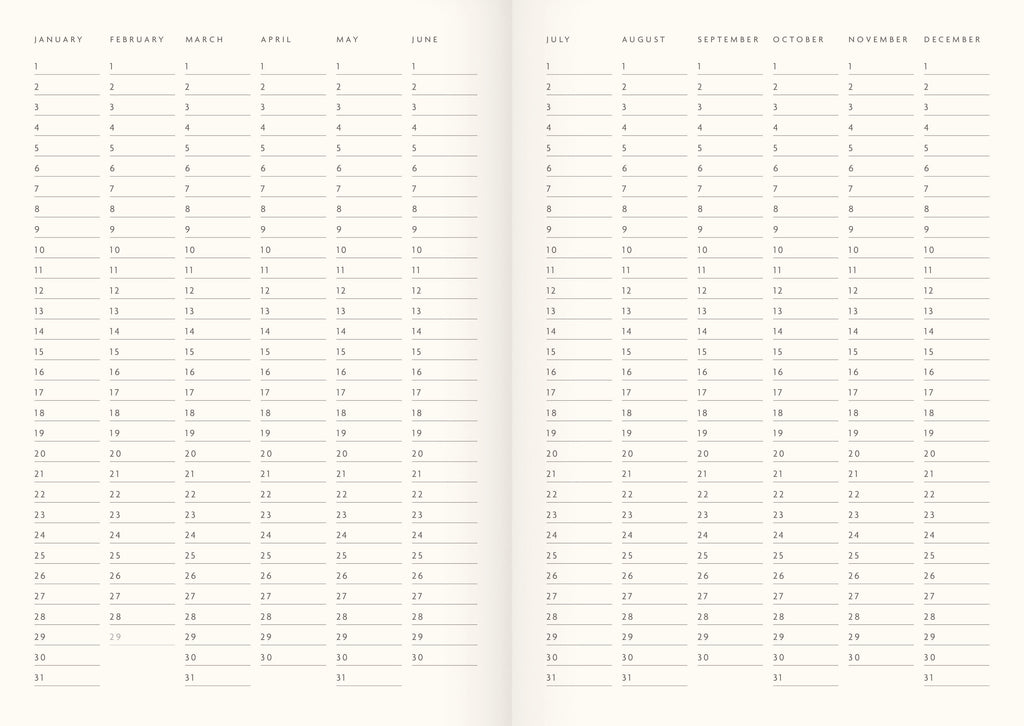 Georgia Breeze Houseplants A5 Notebook - Daisy Park