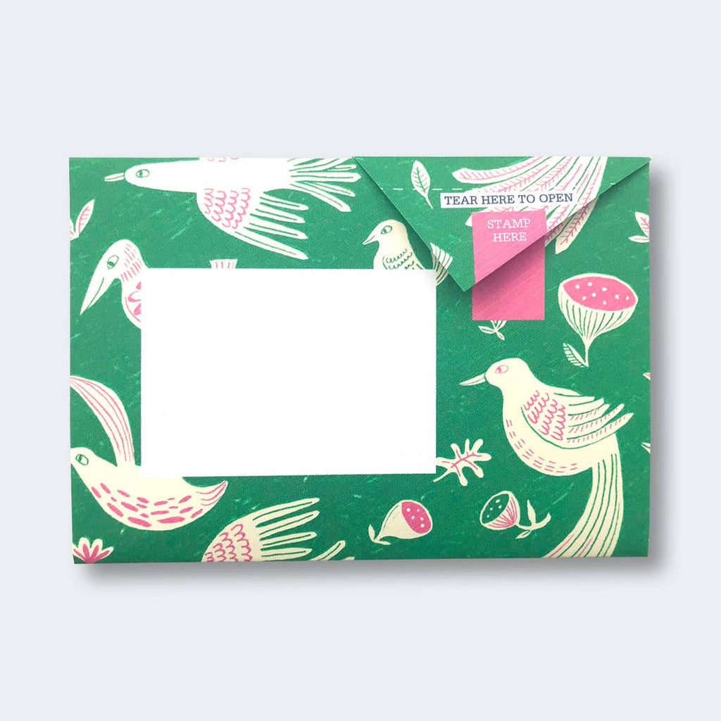 Fig & Feather Pigeon letter pack - Daisy Park