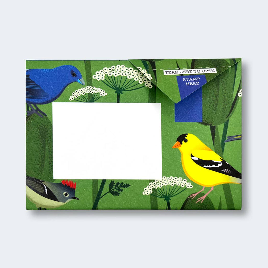Carnival of Colour Pigeon letter pack - Daisy Park