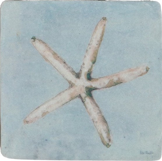 Shell resin coaster - Daisy Park