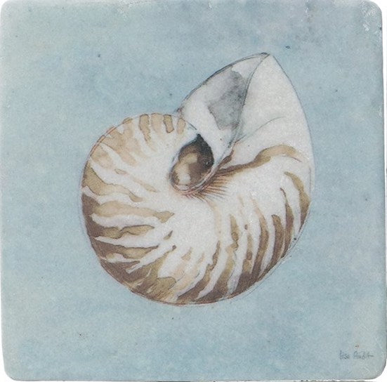 Shell resin coaster - Daisy Park