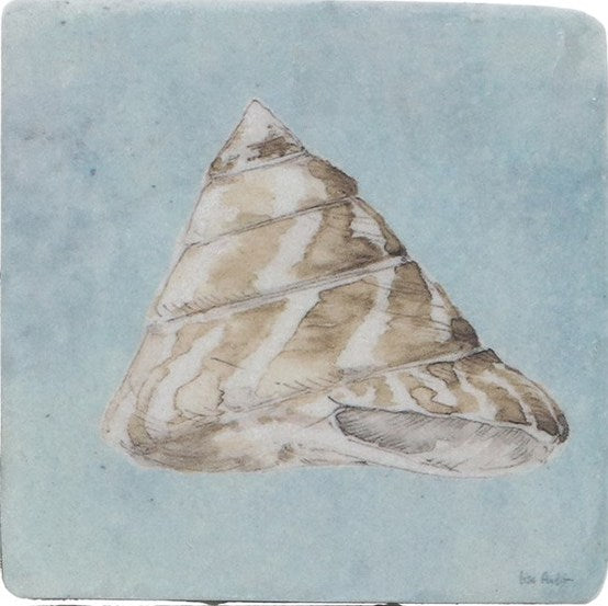 Shell resin coaster - Daisy Park