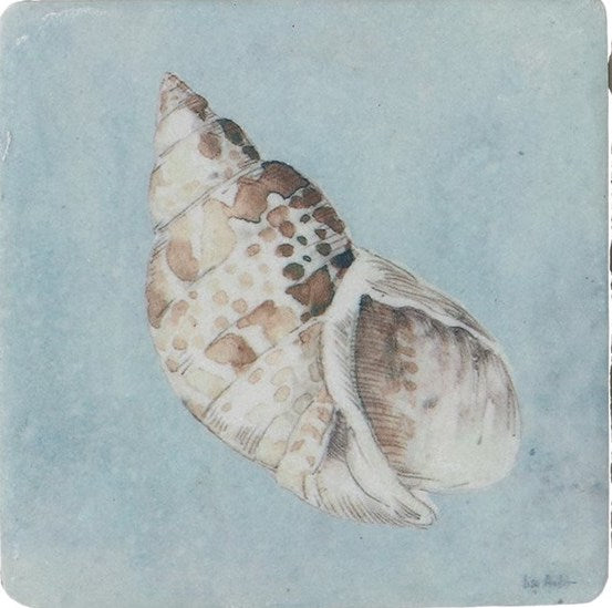 Shell resin coaster - Daisy Park