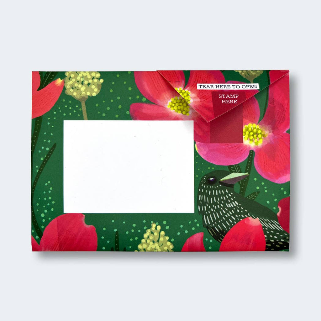 Dusk to Dawn Pigeon letter pack - Daisy Park