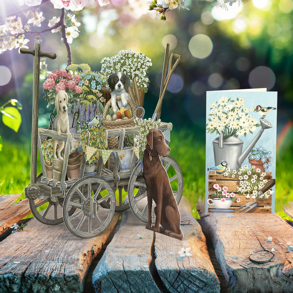 Goat cart 3D pop up greeting card - Daisy Park