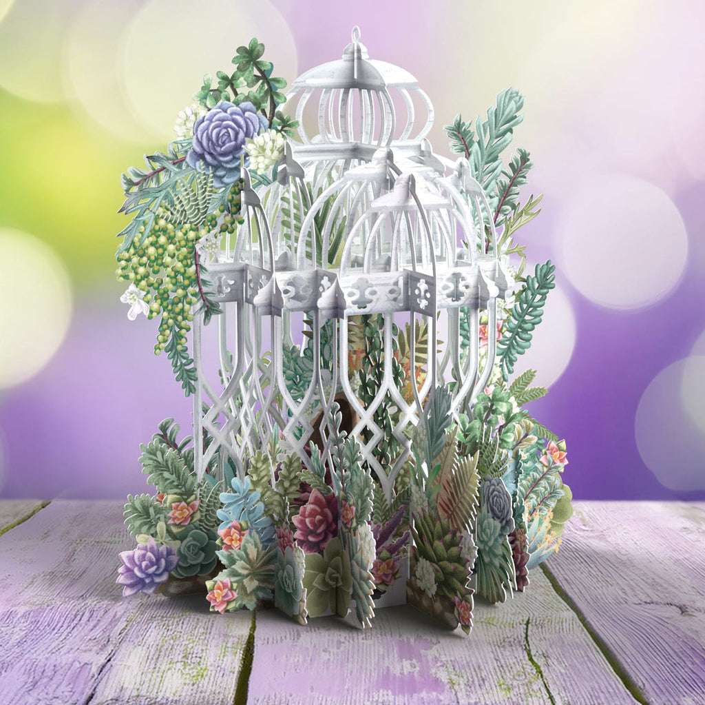 Succulent Love 3D pop up greeting card - Daisy Park