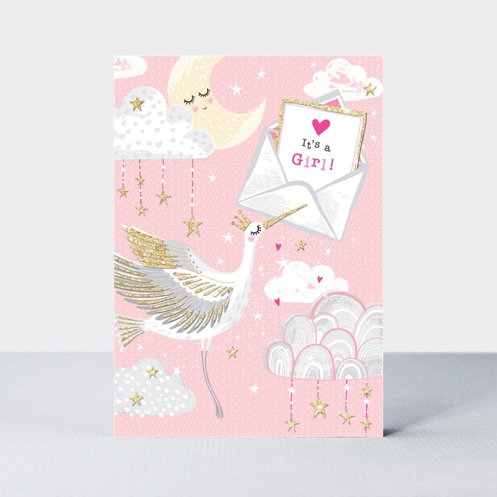 Baby Girl/Stork card - Daisy Park