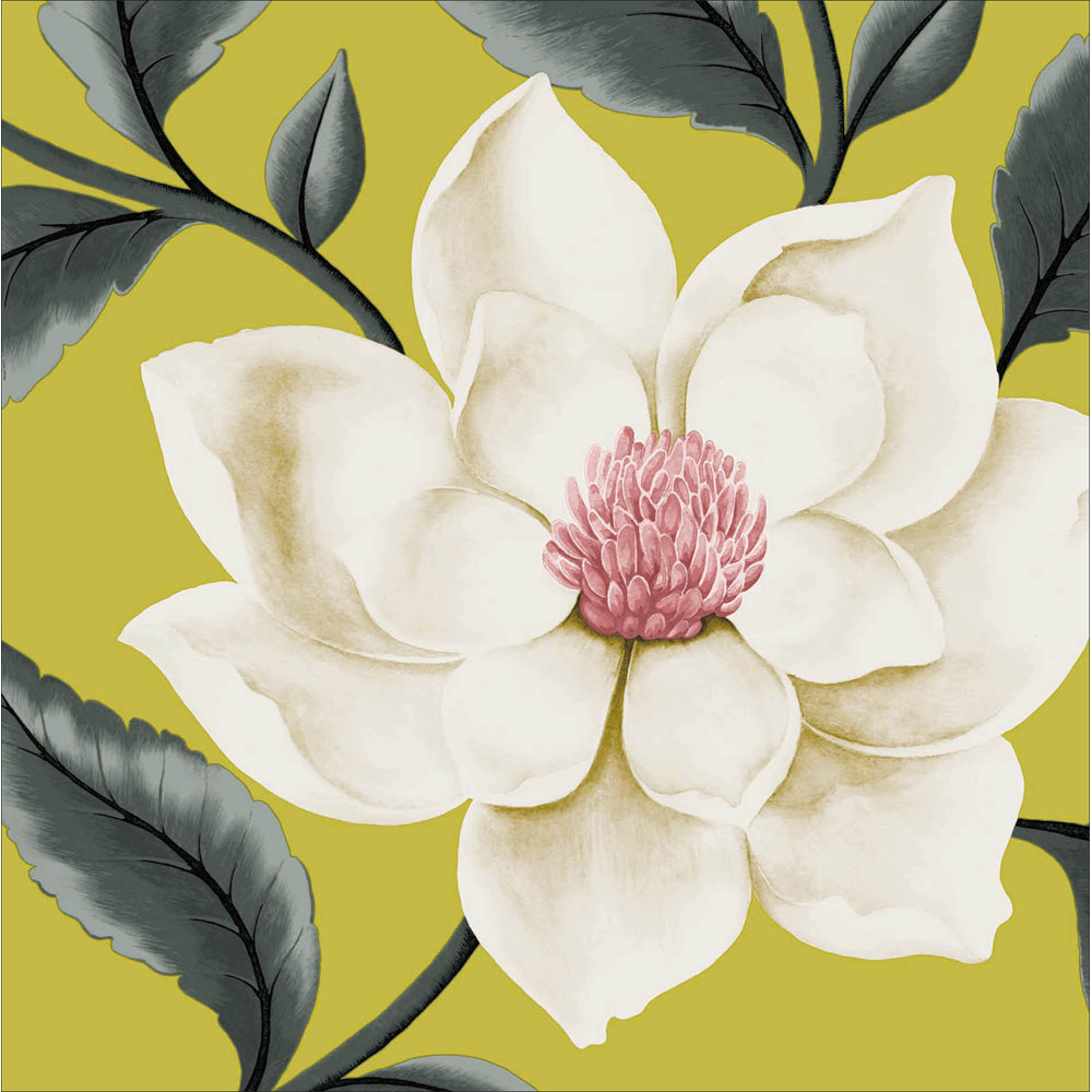 Grandiflora blank card - Daisy Park