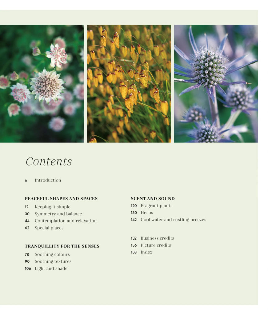 The Mindful Garden book - Daisy Park