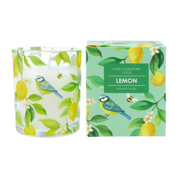 Small Boxed Lemon & Blue Tit scented candle - Daisy Park