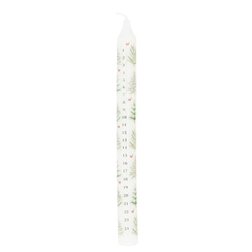 Christmas trees advent crown candle - Daisy Park