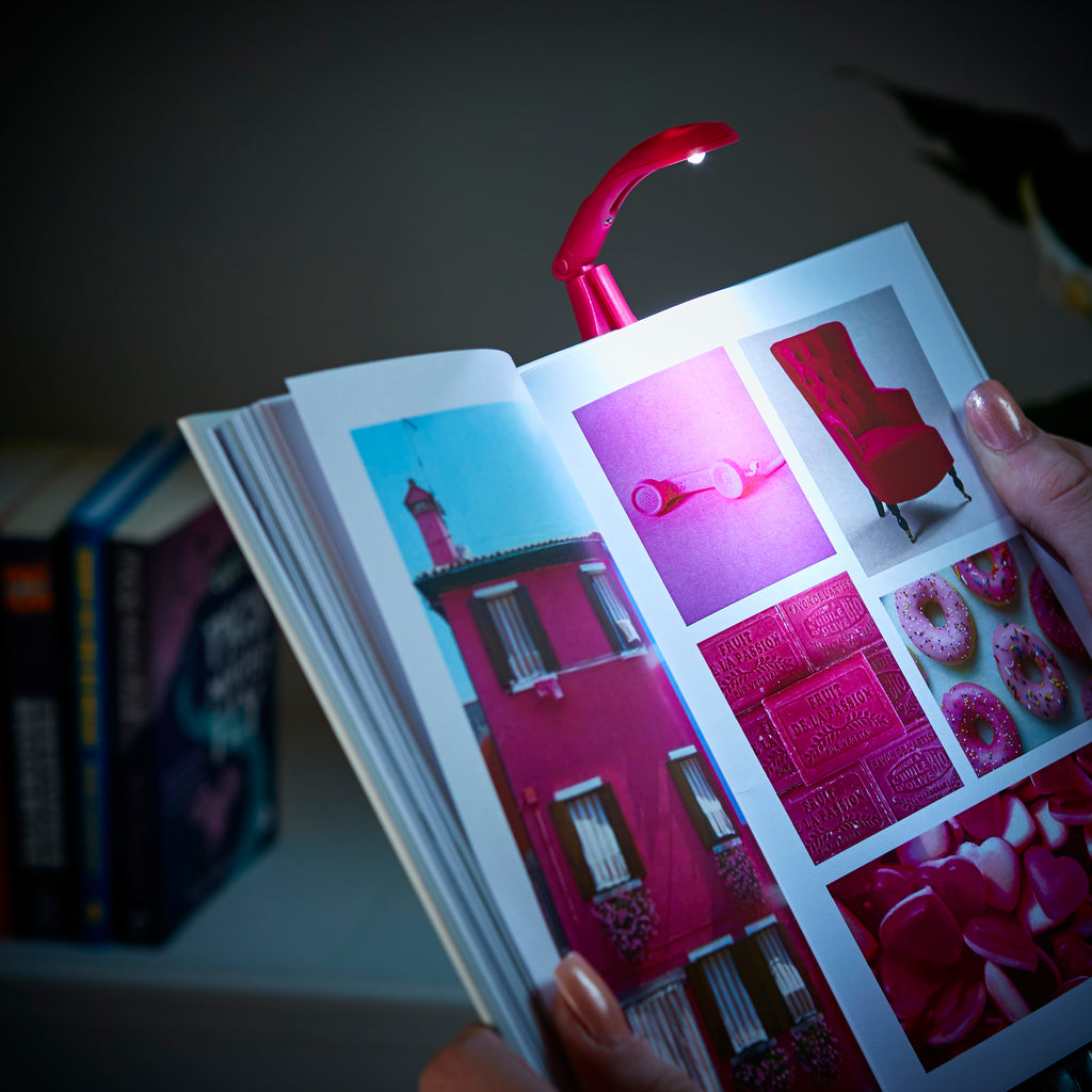 The Really tiny book light - Daisy Park