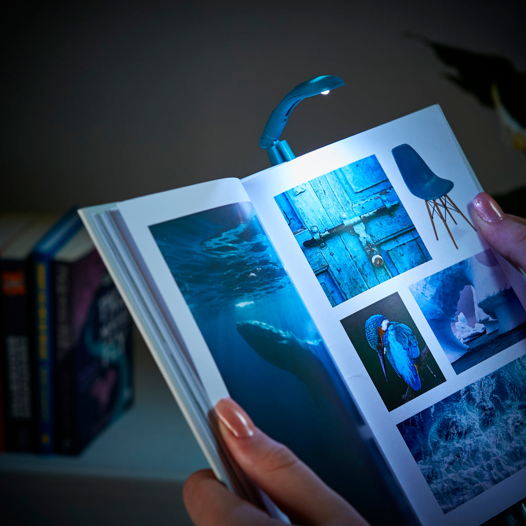 The Really tiny book light - Daisy Park