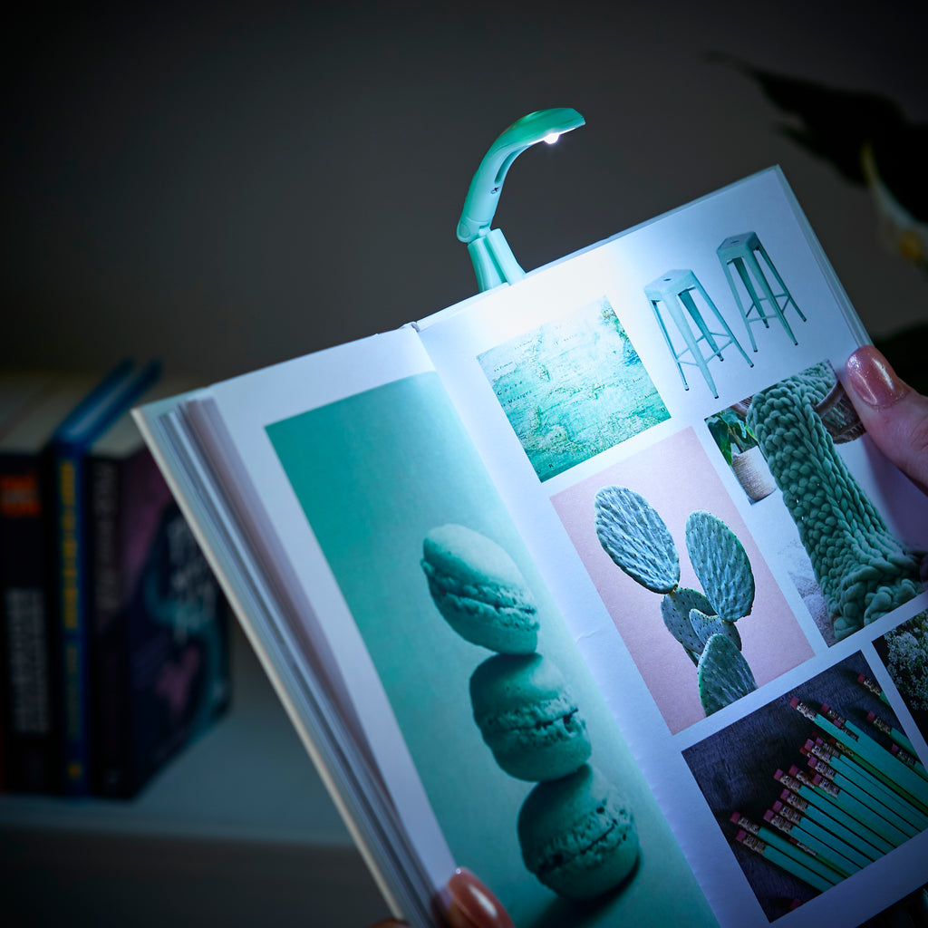 The Really tiny book light - Daisy Park