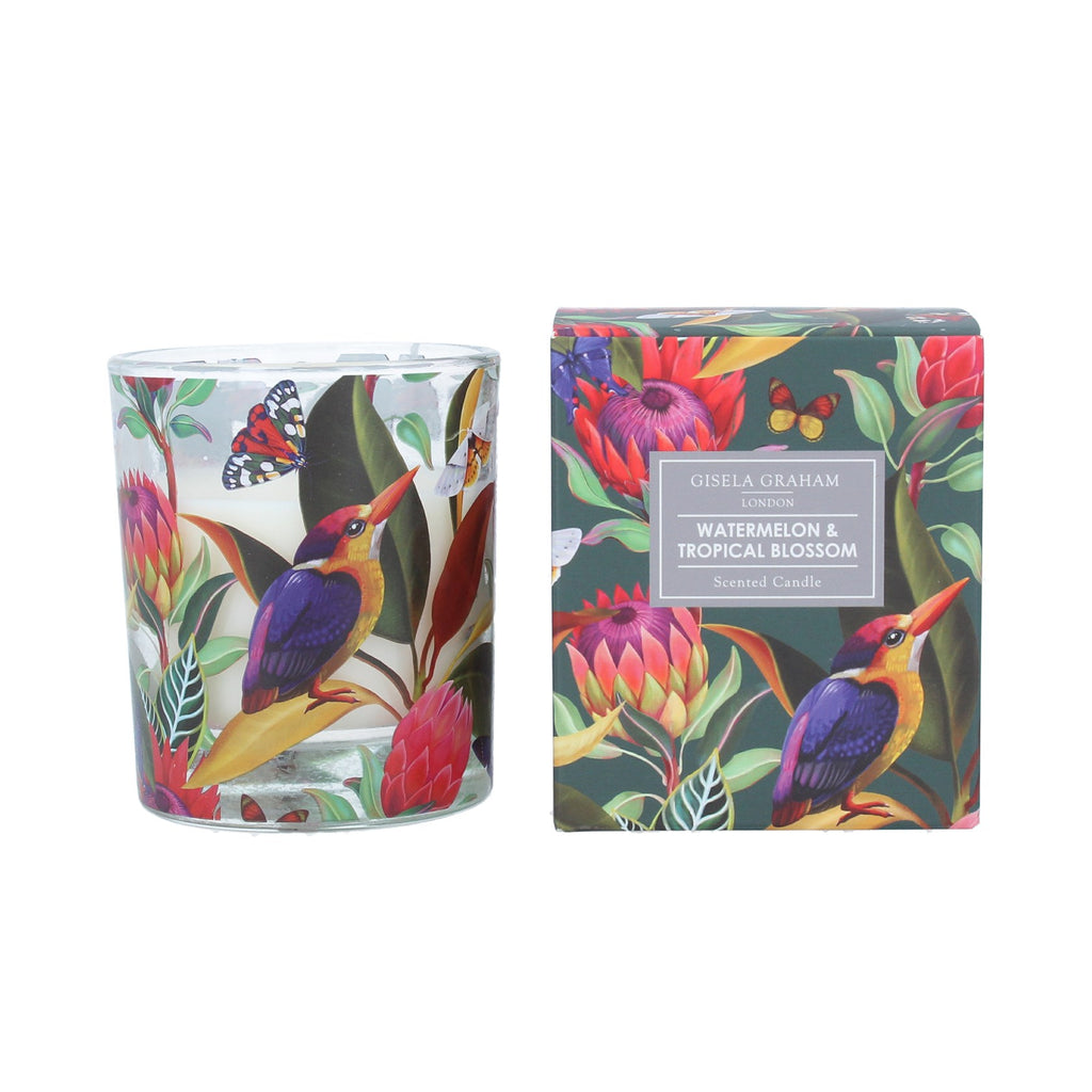 Kingfisher & Protea scented large Boxed Candle Pot - Daisy Park