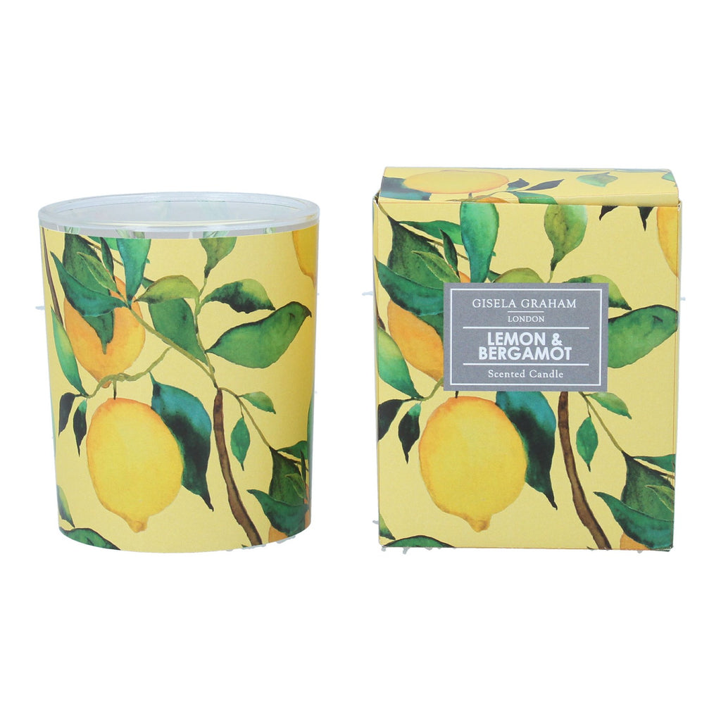 Lemon Tree scented large Boxed Candle Pot - Daisy Park
