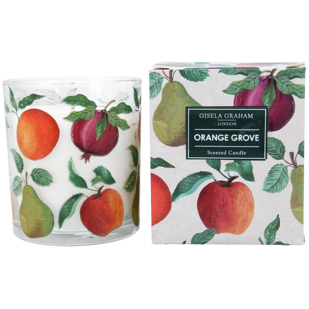 Dellarobia Fruit scented large boxed candle - Daisy Park