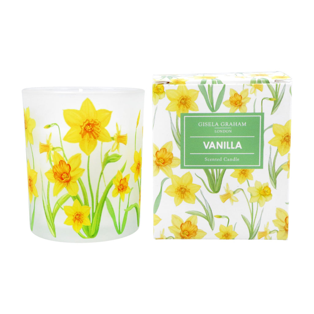 Daffodil scented Small Boxed Candle Pot - Daisy Park
