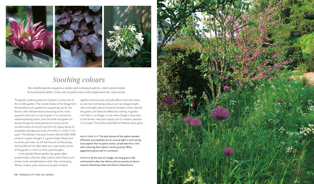 The Mindful Garden book - Daisy Park