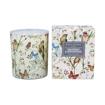 Birds & Butterflies scented large Boxed Candle Pot - Daisy Park