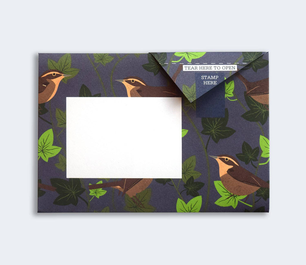 Robin & Wren Pigeon letter pack - Daisy Park
