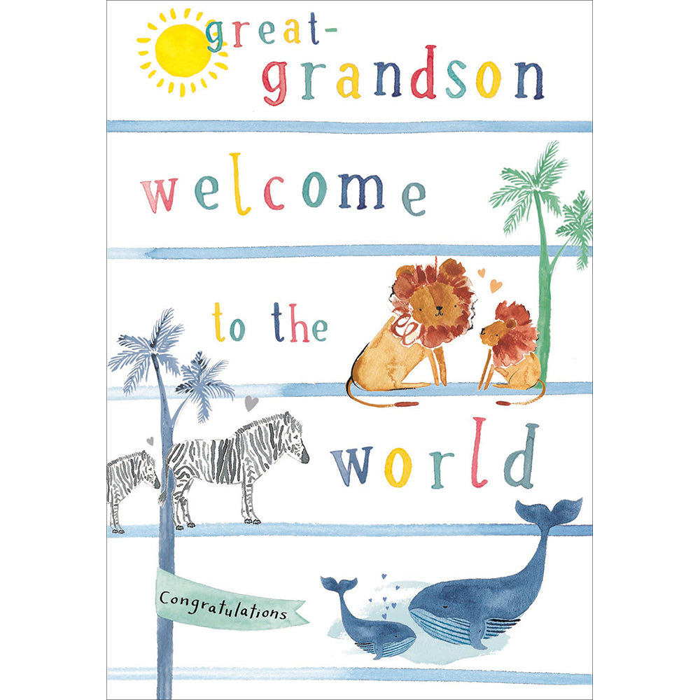 Lovely new Great Grandson card - Daisy Park