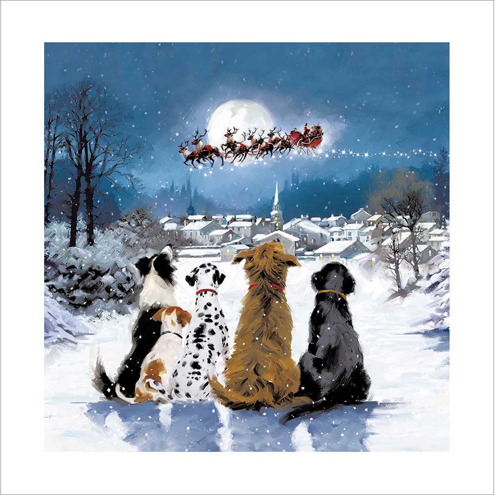 Santa paws is coming Christmas Card - Daisy Park