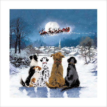 Santa paws is coming Christmas Card - Daisy Park