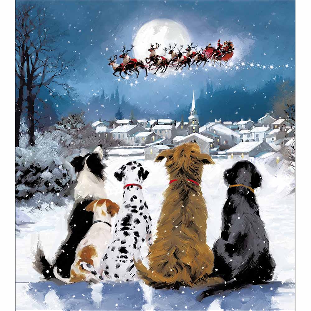 Twas the night before Christmas Charity pack of 5 Greeting cards - Daisy Park