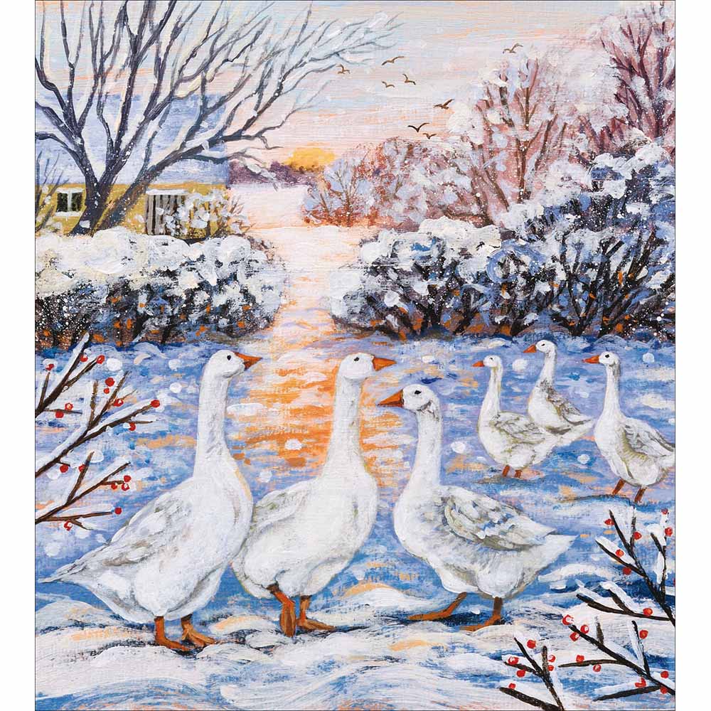Six geese are laying Charity pack of 5 Greeting cards - Daisy Park